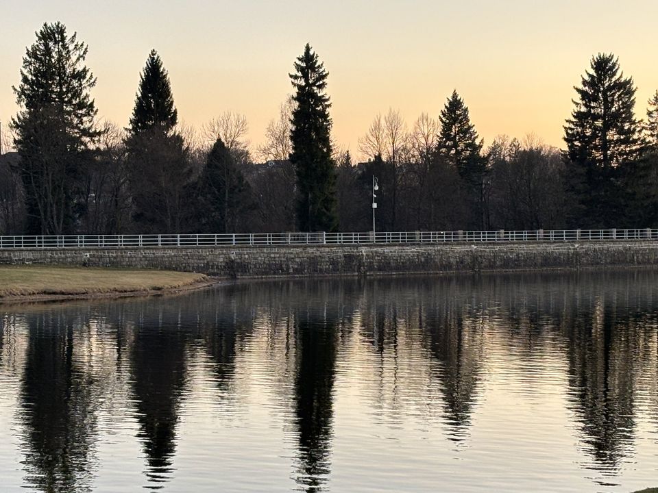 Still water at dusk, a stone dam wall with a metal railing, and tall conifers reflected in the reservoir